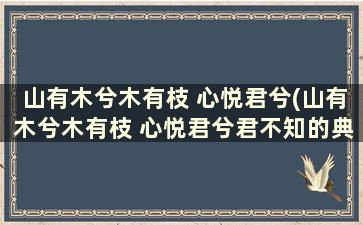 山有木兮木有枝 心悦君兮(山有木兮木有枝 心悦君兮君不知的典故)